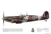 No 199, Spitfire Vc, 310 Sqn RAF
